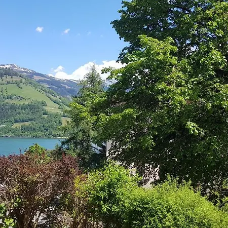 Zell Am View * 滨湖采尔